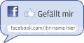 Social Media Facebook Google Twitter Foursquare